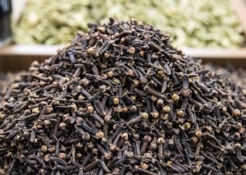 PT Tafa Agro Nusantara Memperluas Ekspor Cengkeh ke Pasar Asia dan Timur Tengah