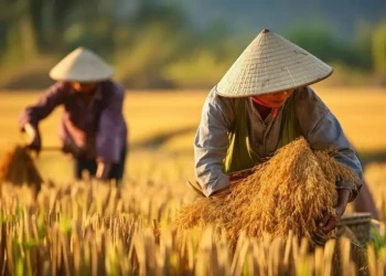 Sudahkah Kita Menghargai Tangan-Tangan yang Menumbuhkan Pangan?